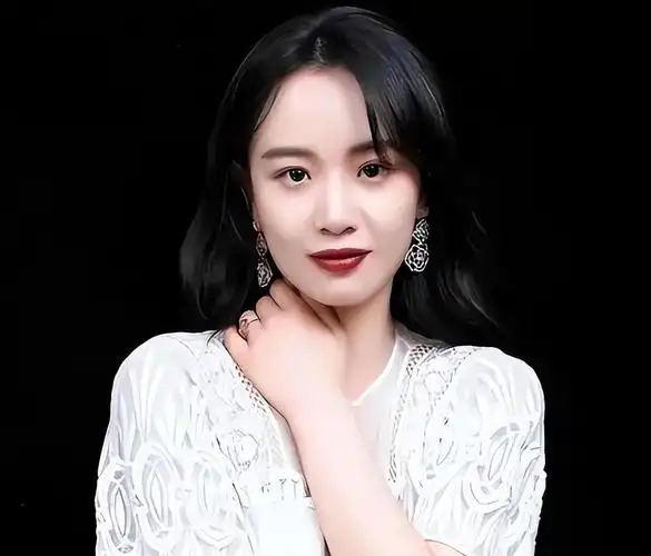 韩国电影 纪录片 华夏营造志